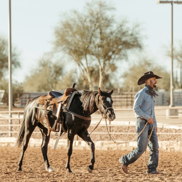 Breaking two year old reining horses