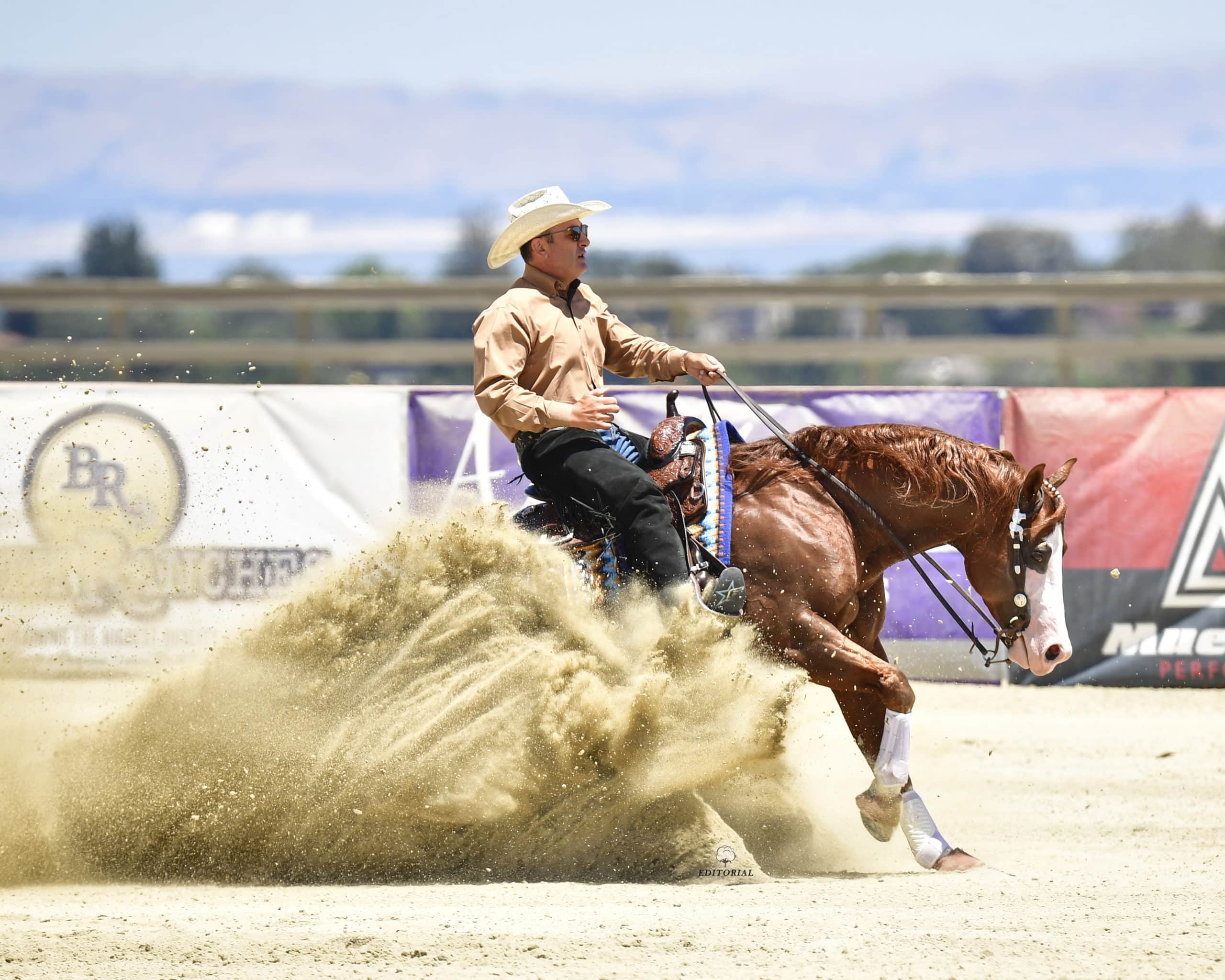 Andrea Fappani wins Reining By The Bay on All Bettss are Off: Image by High Cotton Promotions